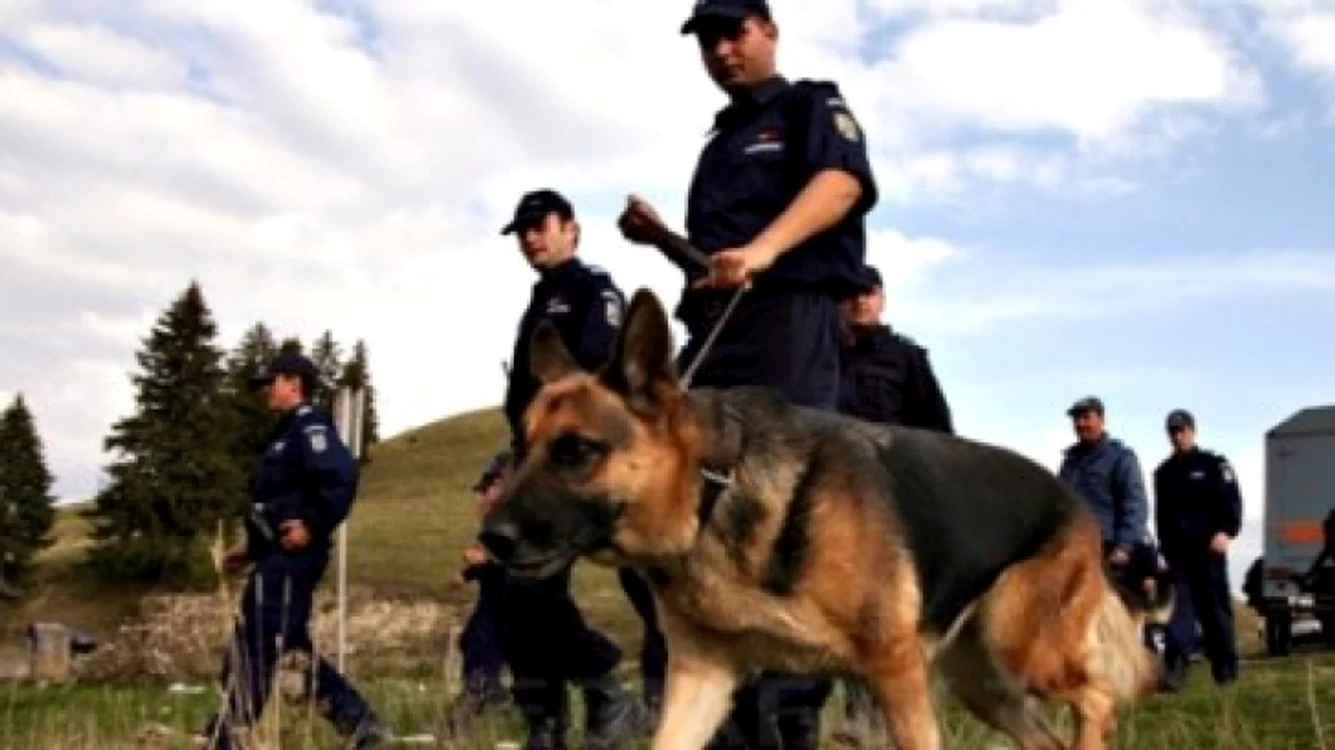 
    Zeci de polițiști și jandarmi îi caută pe cei doi frați   