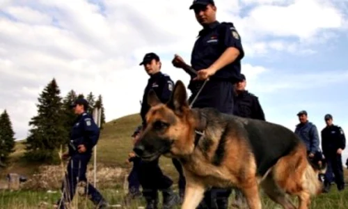 cautari politie 398x300 64543600 jpeg