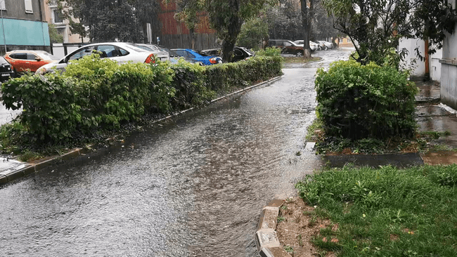 Motivul ciudat pentru care se rup copacii în Hunedoara, la fiecare furtună