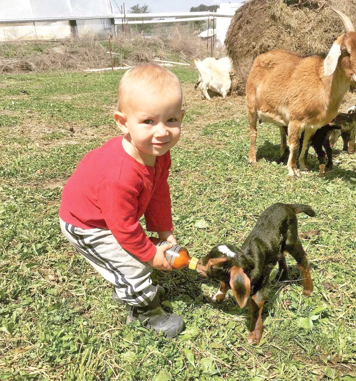 Fiul cel mic hrăneşte animalele