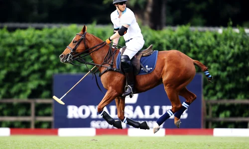 Sentebale Royal Salute Polo Cup 2017 jpeg