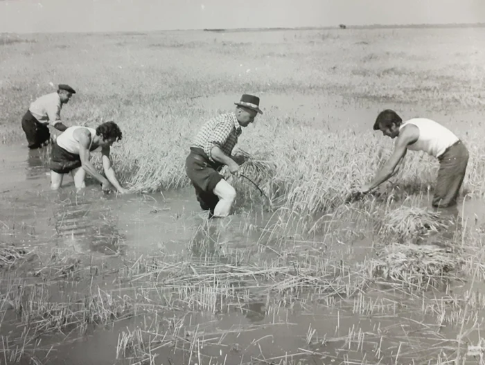 Inundaţiile catastrofale din vara anului 1975: au murit 49 de oameni, iar 12 au dispărut. Ceauşescu a vizitat zonele calamitate