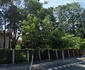 Spitalul Vechi din Râmnicu Vâlcea văzut din stradă Foto Daciana Stoica jpg