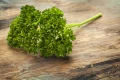 varietatea creata a patrunjelului jpg webp