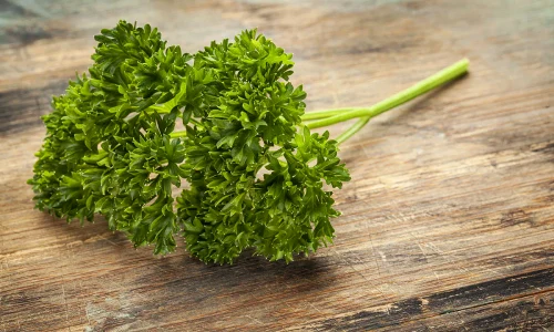 varietatea creata a patrunjelului jpg webp