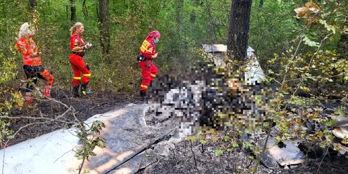 Avion prăbușit la Letca Nouă jpeg