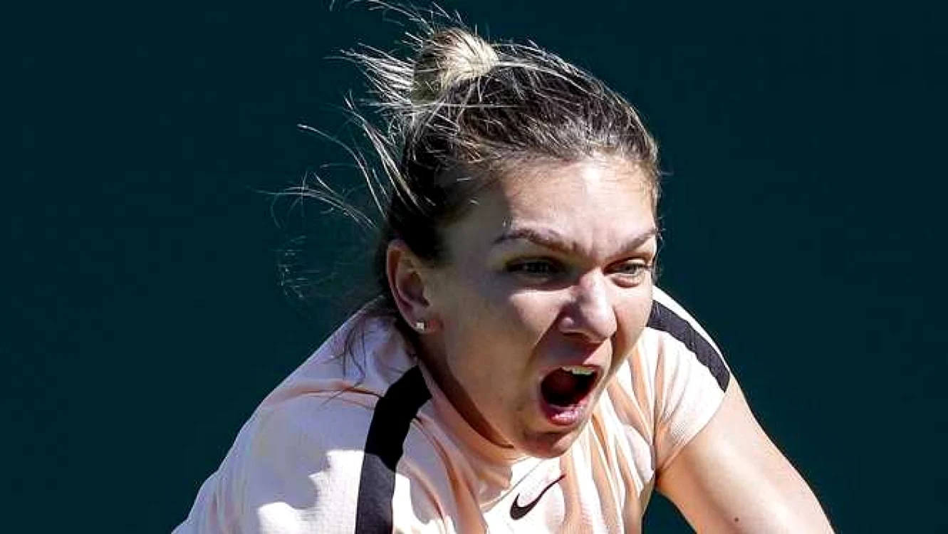 Halep