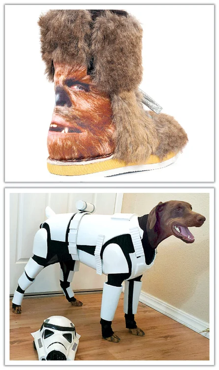 
    Foto: Caters/Splashnews  