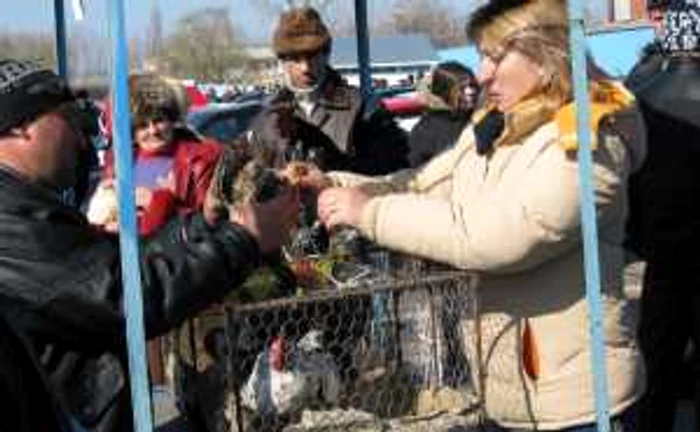 Găinile s-au vândut la tarabă