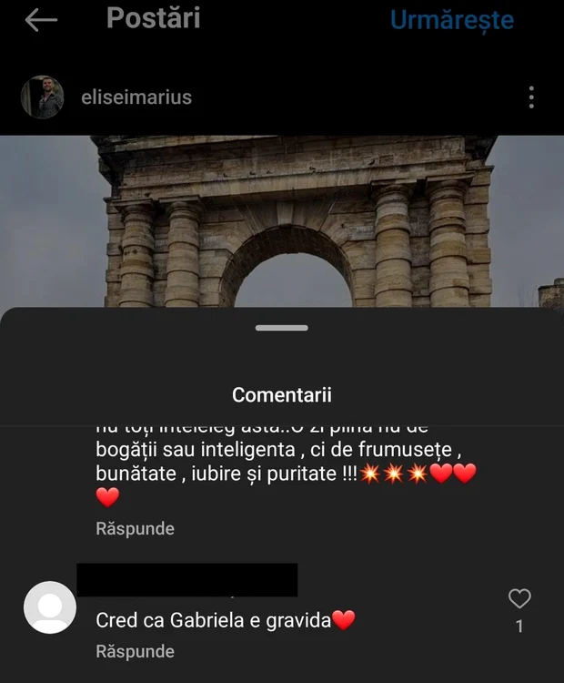 Comentariul de la postarea lui Marius Elisei / foto: Instagram