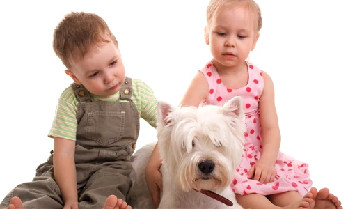 1 47484 original jpg jpeg