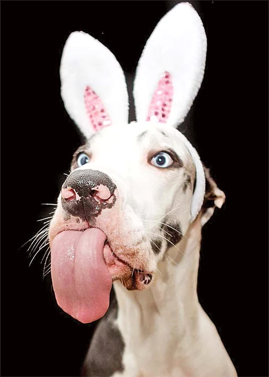 Ia uitaţi, am faţa de plastilină