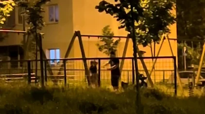 Un bărbat și-a bătut soția într-un parc FOTO: captura video