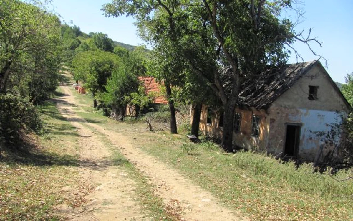 Lindenfeld