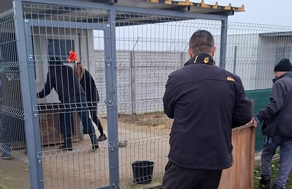 Câinii de la Suraia vor fi relocați FOTO: Facebook/Mona Semeniuc