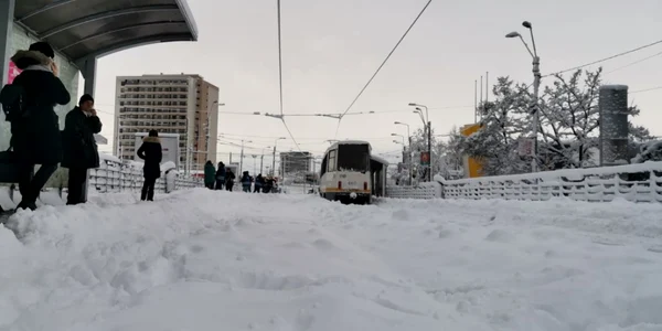 Tramvai iarnă