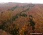 Muntii Orastiei Foto Daniel Guță  ADEVĂRUL (15) JPG