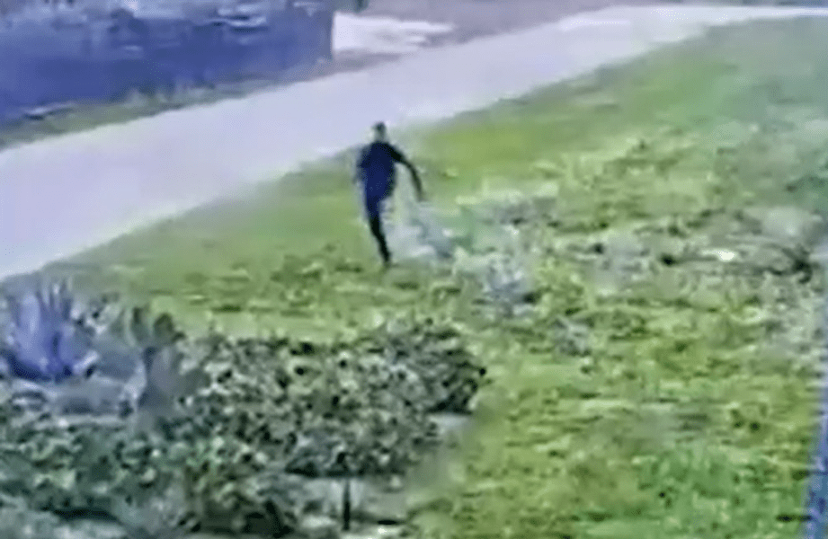 Modul spectaculos în care un șef al mafiei a evadat dintr-o închisoare din Sardinia VIDEO