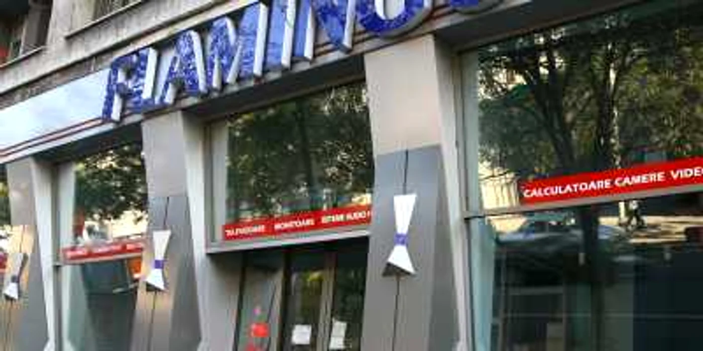 Acţiunile Flamingo International au fost suspendate de la tranzacţionare la BVB la 14 decembrie 2009.