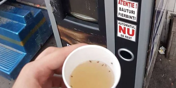 cafea cu furnici 1