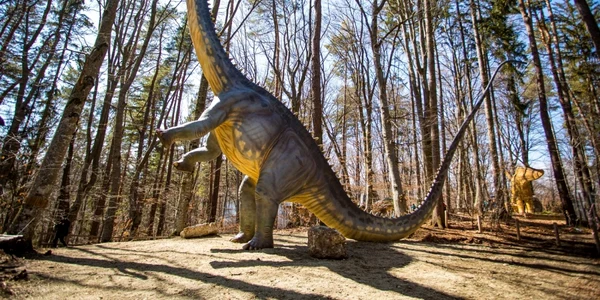 Cel mai înalt dinozaur din Europa de Sud-Est FOTO europa fm