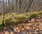 Cetatea dacică Fețele Albe  Foto Daniel Guță  ADEVĂRUL (67) jpg