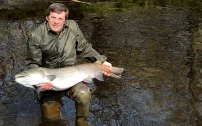 somon de dunare foto riverwatch
