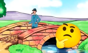 test vizual jpeg