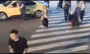 ciolos gif
