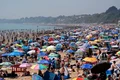 plaja canicula regatul unit jpg
