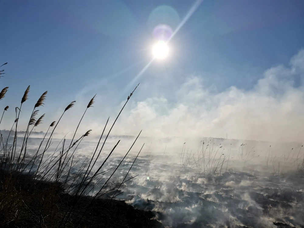 Incendiul a fost semnalat încă de marți dimineața