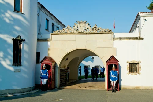 Palatul Elisabeta. FOTO: Daniel Angelescu, Casa Majestăţii Sale