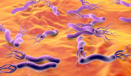 1 80641 original jpg jpeg