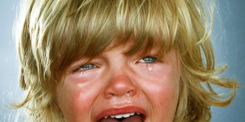 proiect fotografic jill greenberg