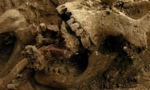 Descoperire în Italia: scheletul unei "vrăjitoare" din Evul Mediu, cu şapte piroane înfipte în maxilar jpeg