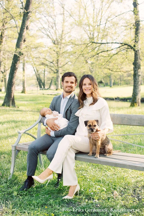 printul carl philip jpeg
