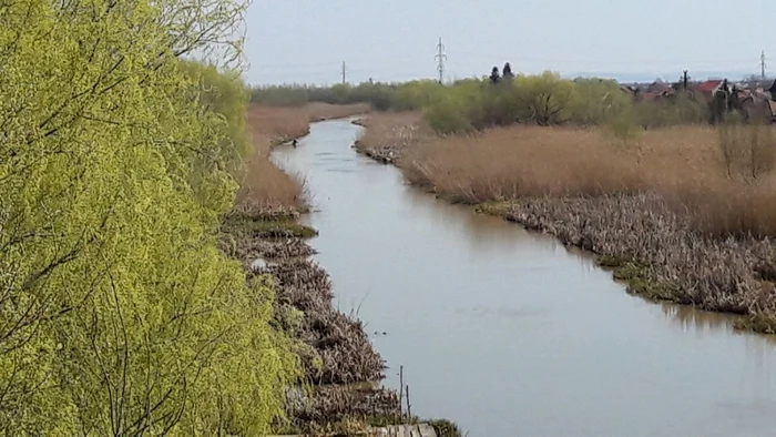 Fantasticul canal Bega în amonte