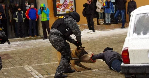 Taz este un poliţist veritabil
