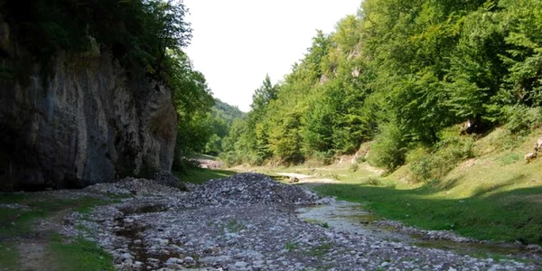 Valea Sighiştelului