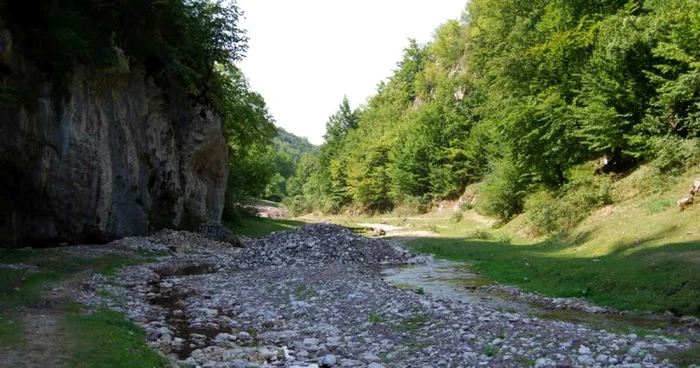 Valea Sighiştelului