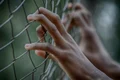 fence 2163951 1280 jpg