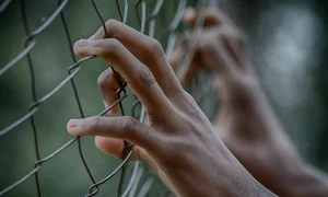 fence 2163951 1280 jpg