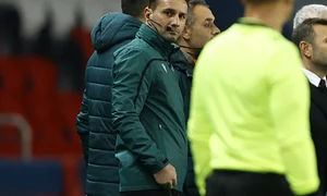 16 text coltescu jpeg