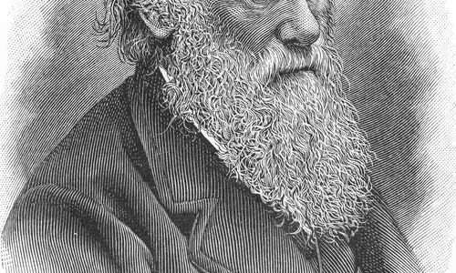 1 darwin jpg jpeg
