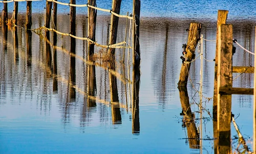 fence 7435286 1280 jpg