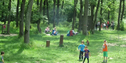 Parcul Natural Lunca Mureşului 