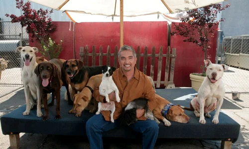 1518971 10152977261034954 4311507773210525019 o jpeg