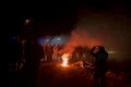 fani greci opinia tm jpg