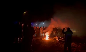 fani greci opinia tm jpg