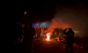 fani greci opinia tm jpg